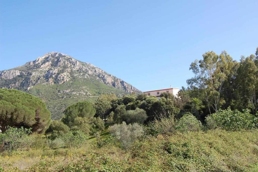 Country House Tenuta Taddore Galtellì Exterior foto
